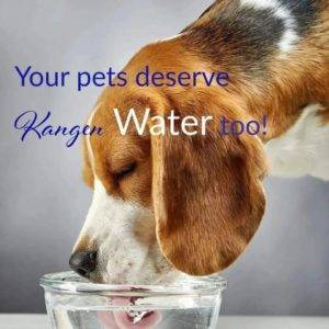kangen water
