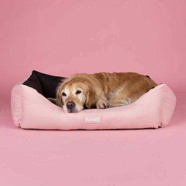 Expedition Box Bed - Image 2