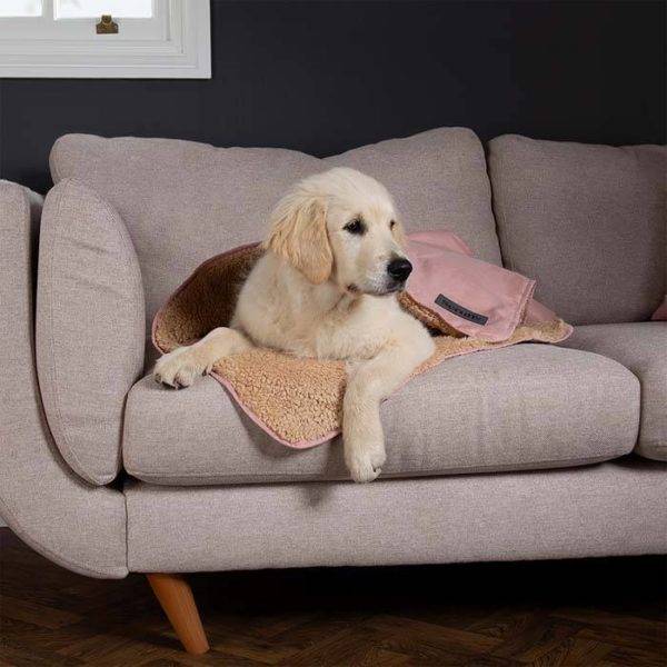 Snuggle Blanket - Image 9