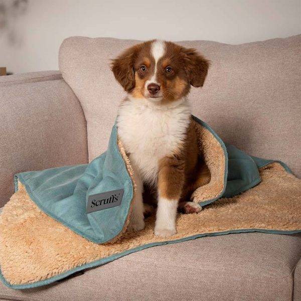 Snuggle Blanket - Image 11