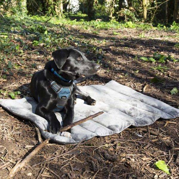 Expedition Roll Up Travel Pet Bed - Image 8