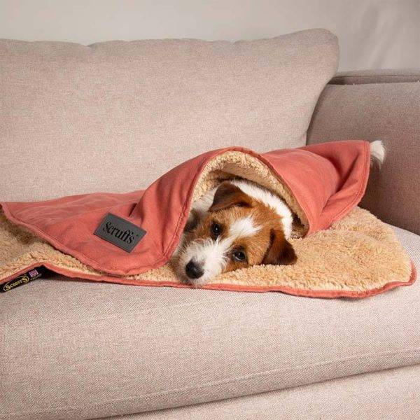 Snuggle Blanket - Image 3