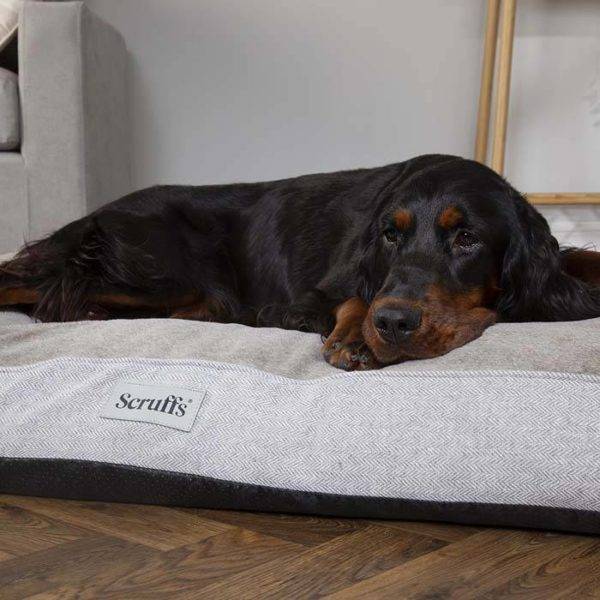 Harvard Memory Foam Mattress - Image 5