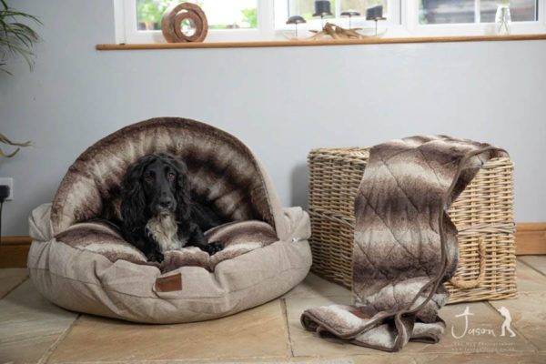 Luxury Cave Bed - Image 5