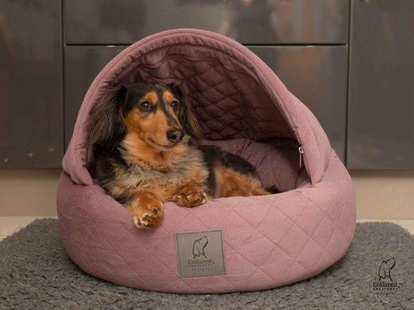 Deluxe Cocoon Dog Bed - Image 6