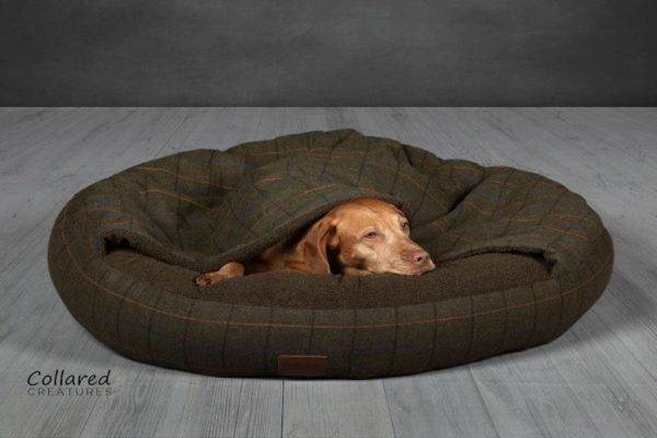 Classic Comfort Cocoon Dog Bed - Image 3