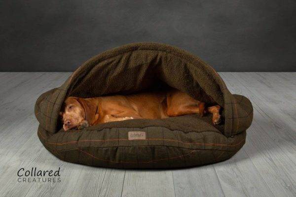 Luxury Cave Bed