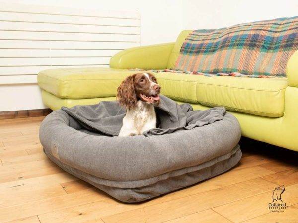 Grey Bolster Hoodied Dog Bed with Removable Hood - Image 5