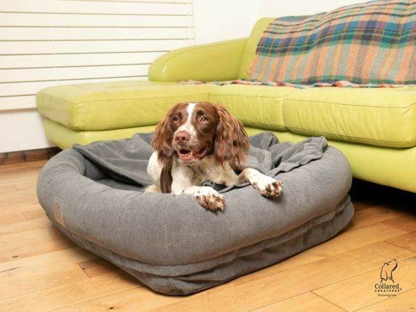 Grey Bolster Hoodied Dog Bed with Removable Hood