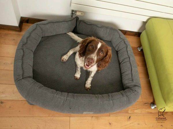 Grey Bolster Hoodied Dog Bed with Removable Hood - Image 3