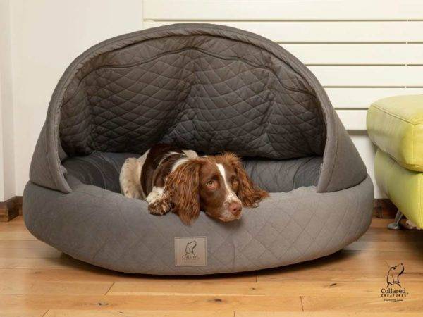Deluxe Cocoon Dog Bed - Image 2
