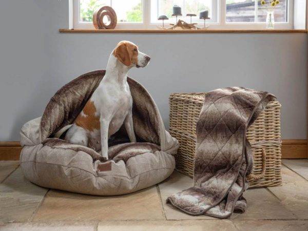 Luxury Cave Bed - Image 3