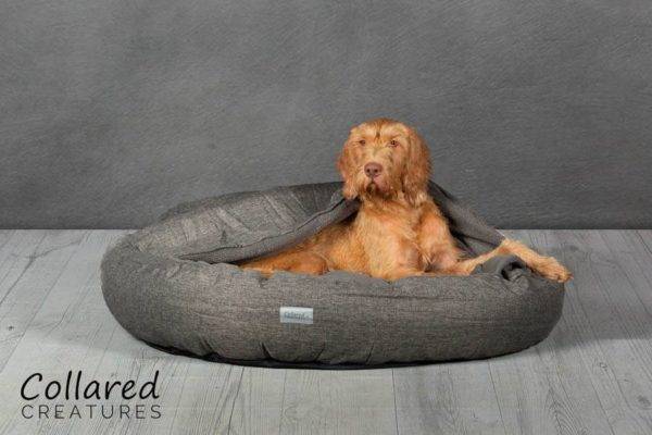 Classic Comfort Cocoon Dog Bed