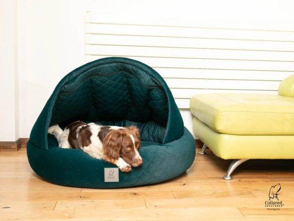 Deluxe Cocoon Dog Bed - Image 4