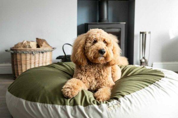 Barka Parka dog bed - Olive and Sage
