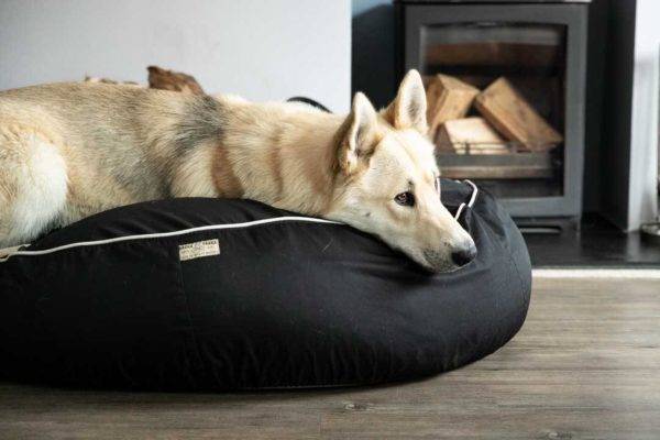 Barka Parka Dog bed black and cream piping